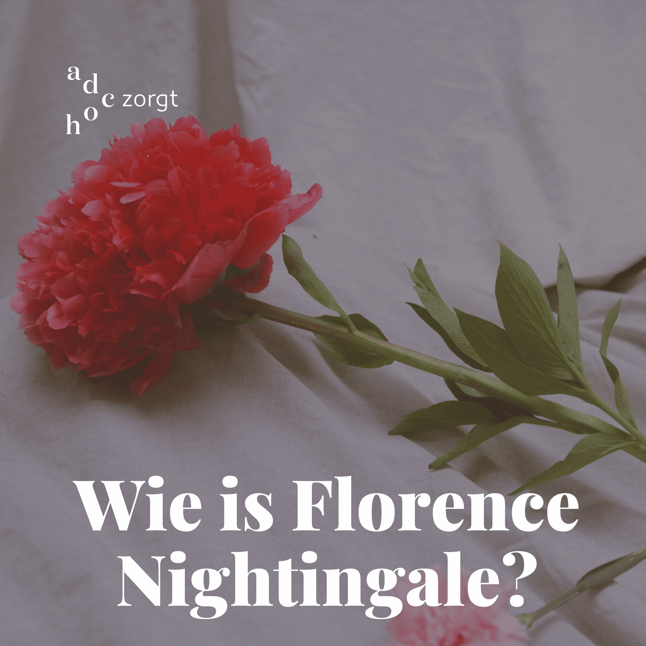Wie is Florence Nightingale?